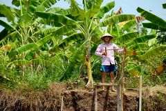 waldwächter auf vietnamesisch