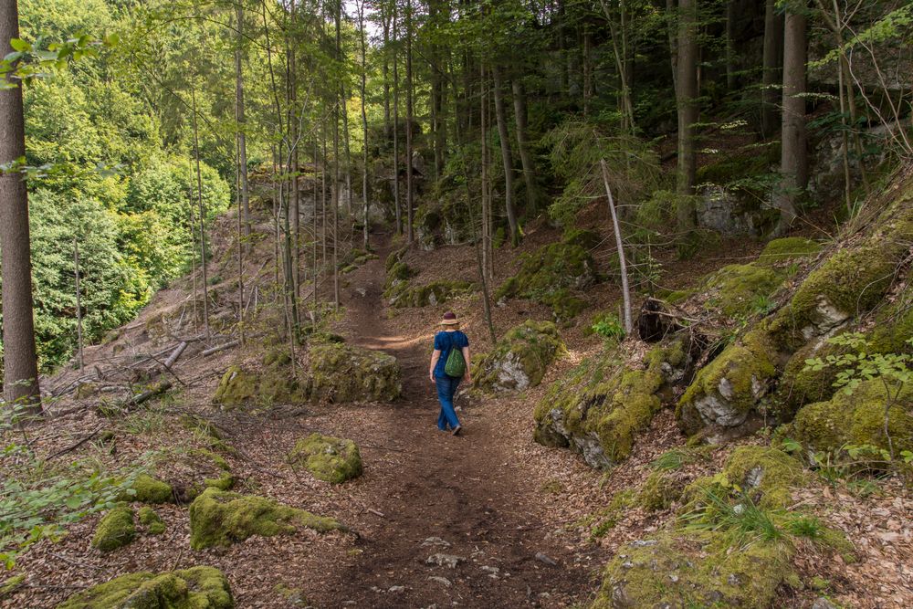 Waldwanderung I - Pottenstein/fränkische Schweiz