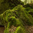 Waldwanderung II - Pottenstein/fränkische Schweiz