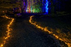 Waldwanderweg bei Nacht