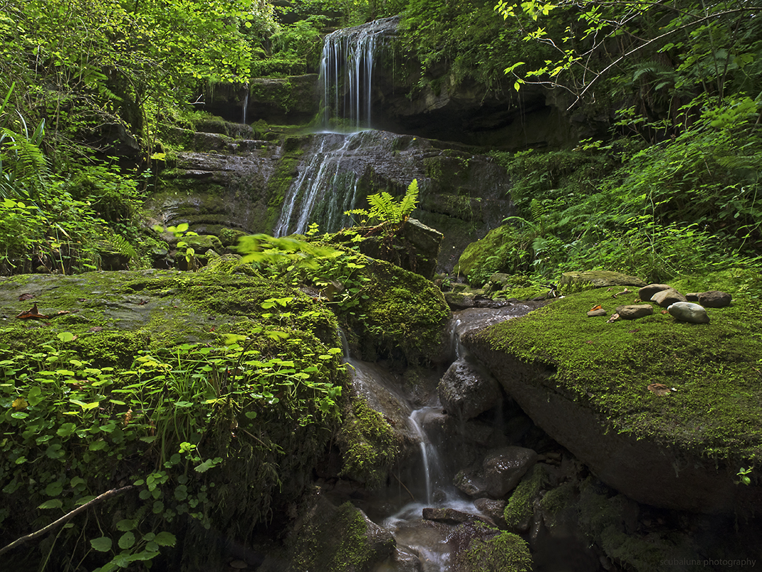 WaldWasser