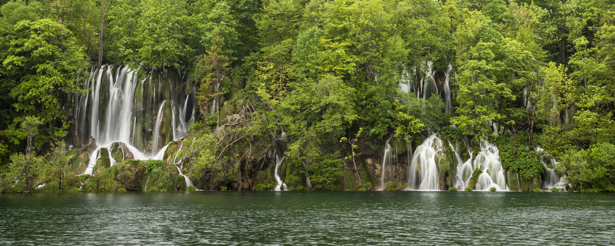 Waldwasser