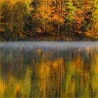 Wald.Wasser.