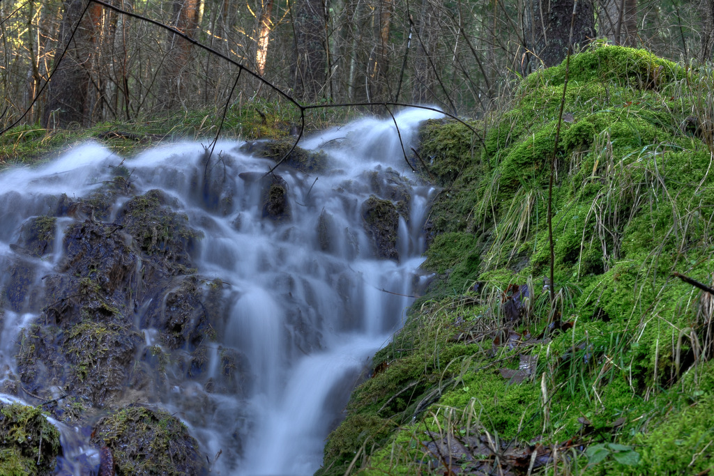 Waldwasserfall