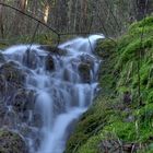 Waldwasserfall