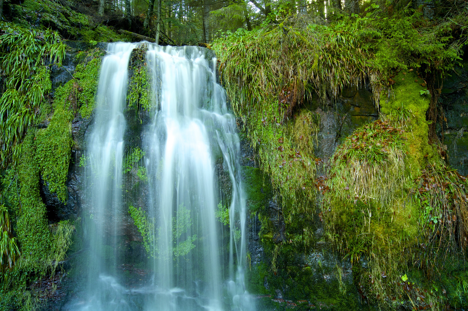 Waldwasserfall