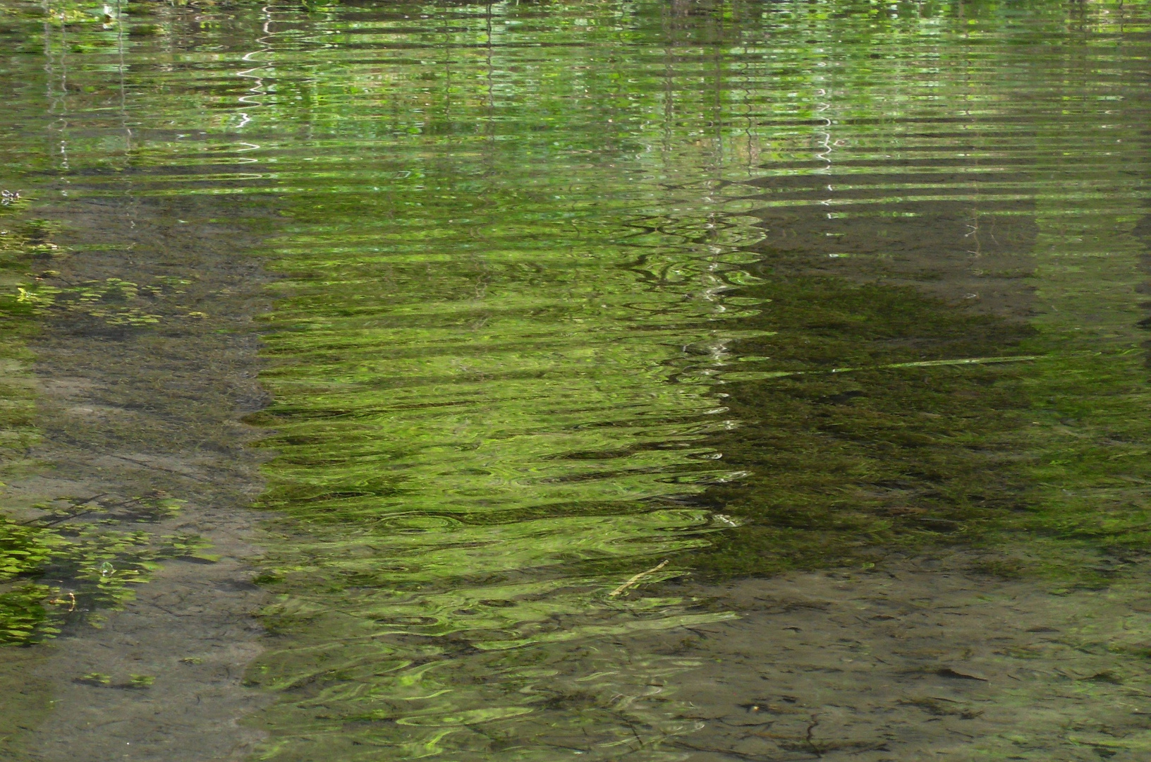 ...waldwassergrün..