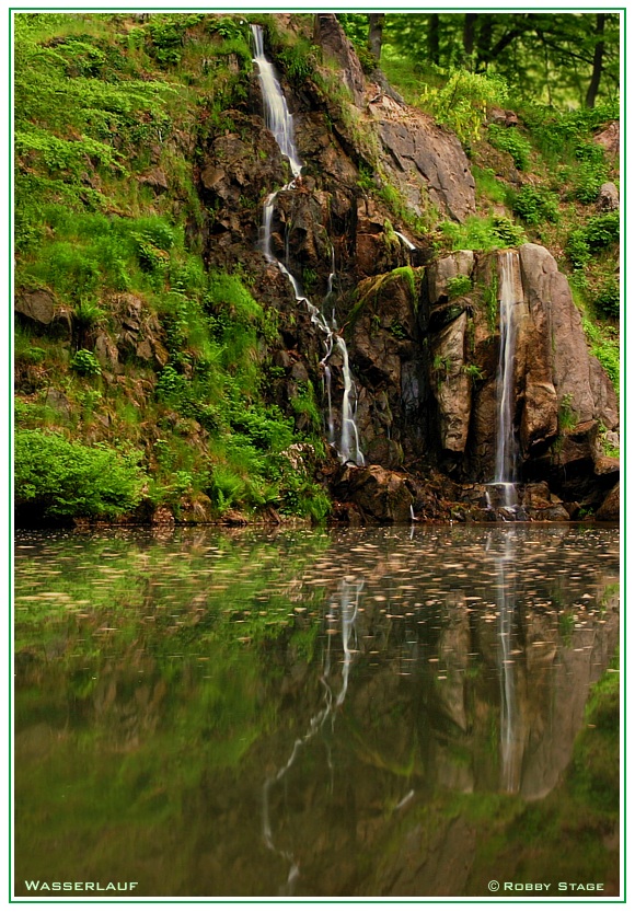 WaldWasserLauf