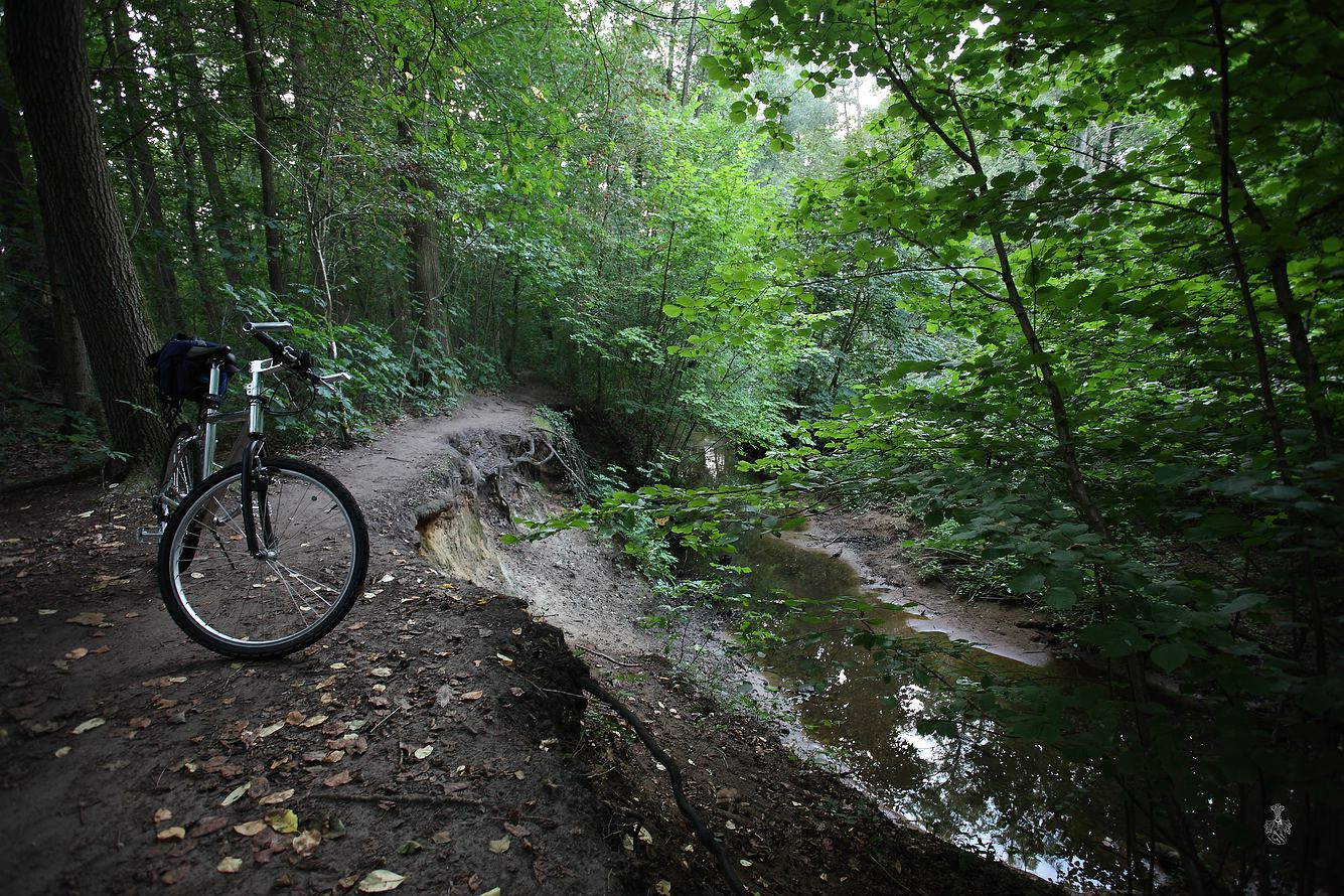 Wald~Wasser~MTB