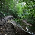 Wald~Wasser~MTB