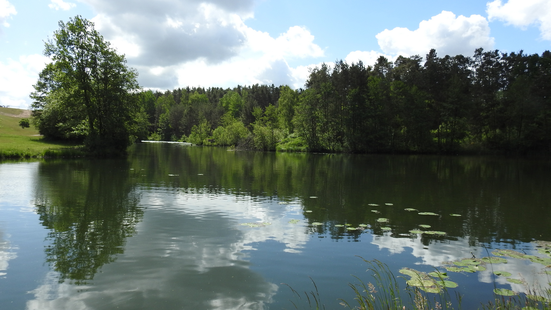 Wald,Wasser,Natur.