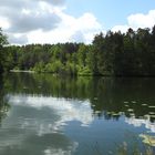 Wald,Wasser,Natur.