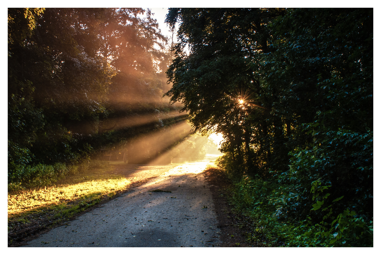 Waldweg