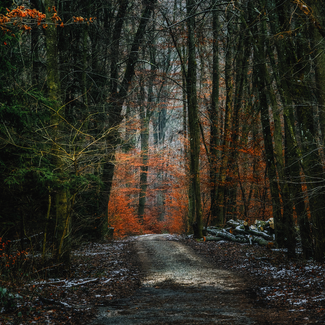 Waldweg