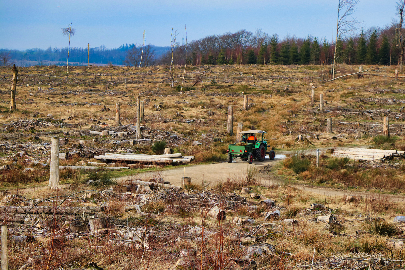 Waldweg