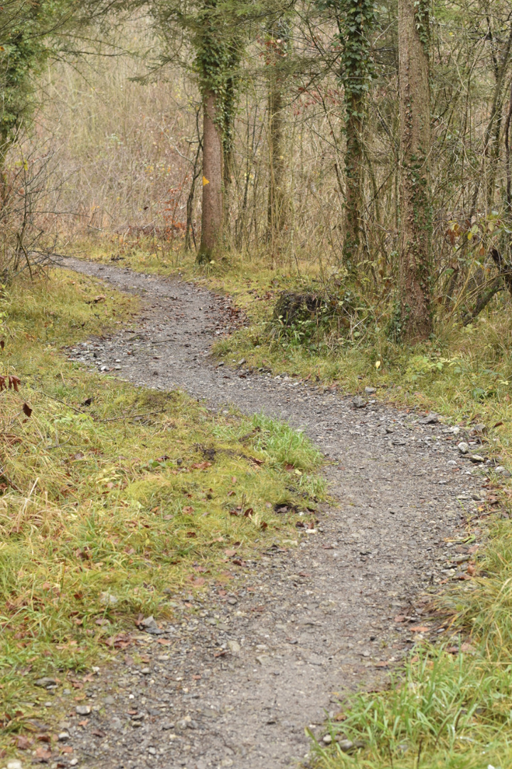 Waldweg