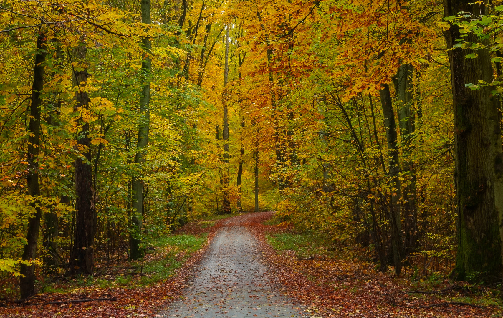 Waldweg