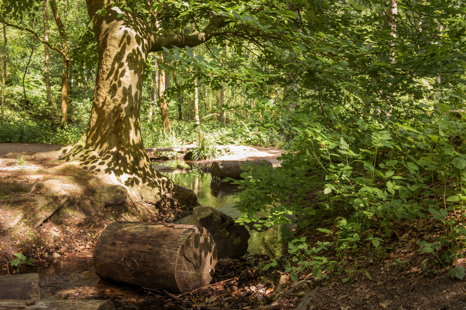 Waldweg 10