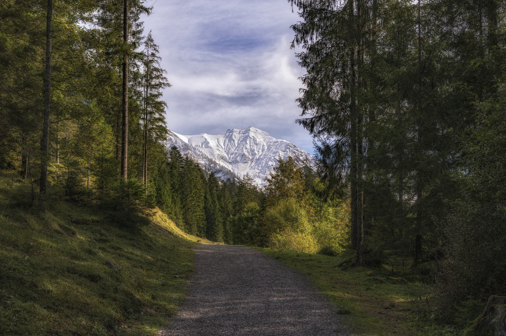 Waldweg