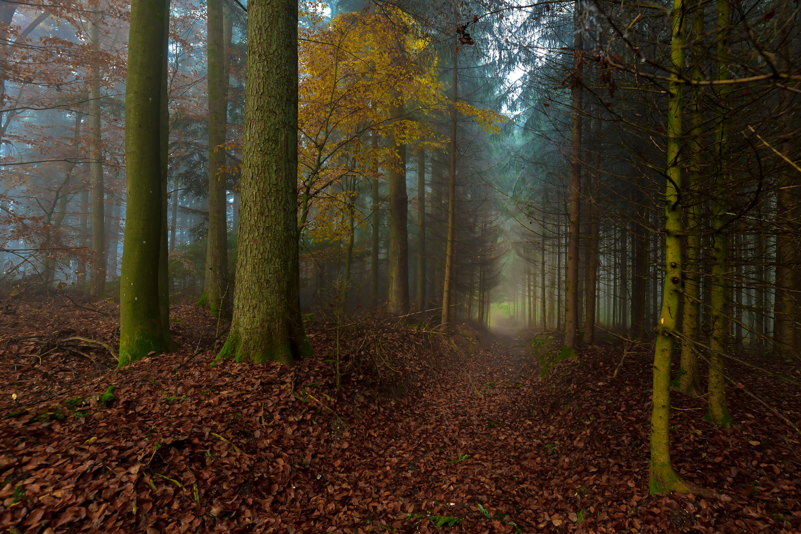 Waldweg