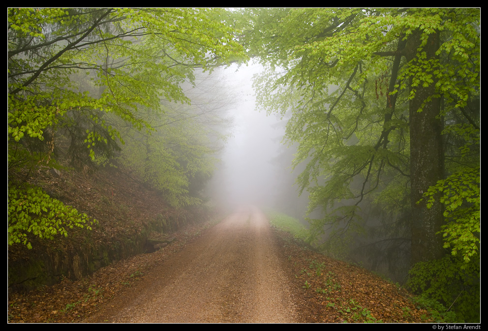 Waldweg