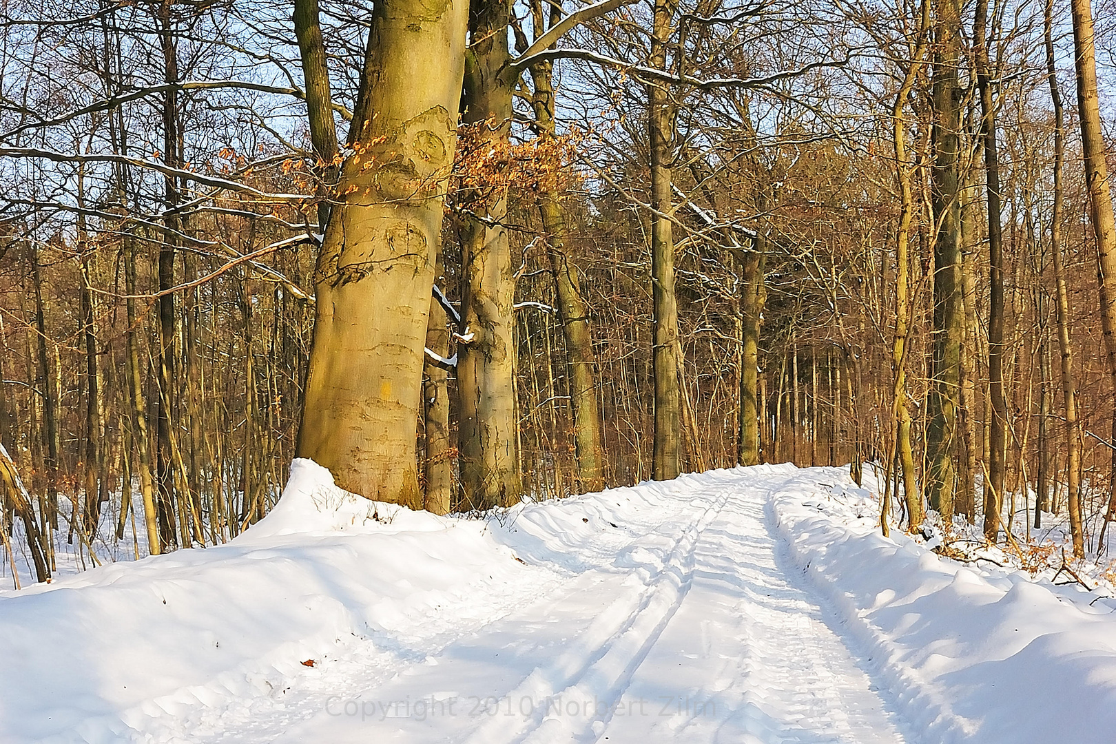 Waldweg