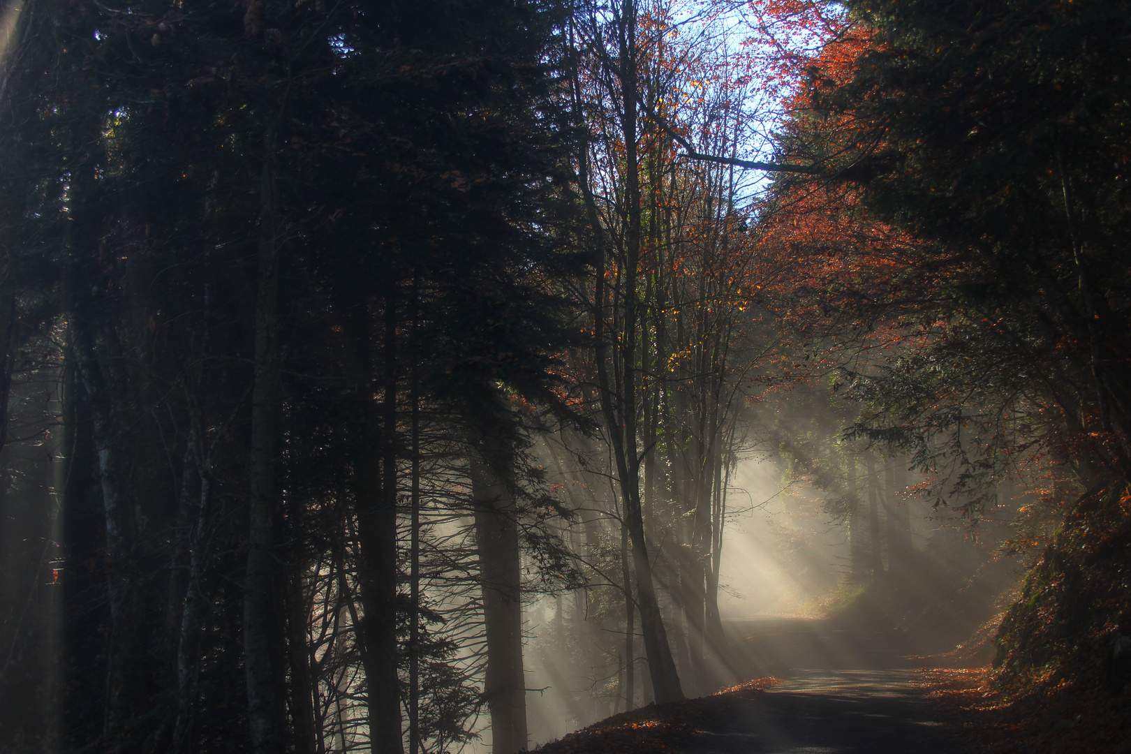 Waldweg