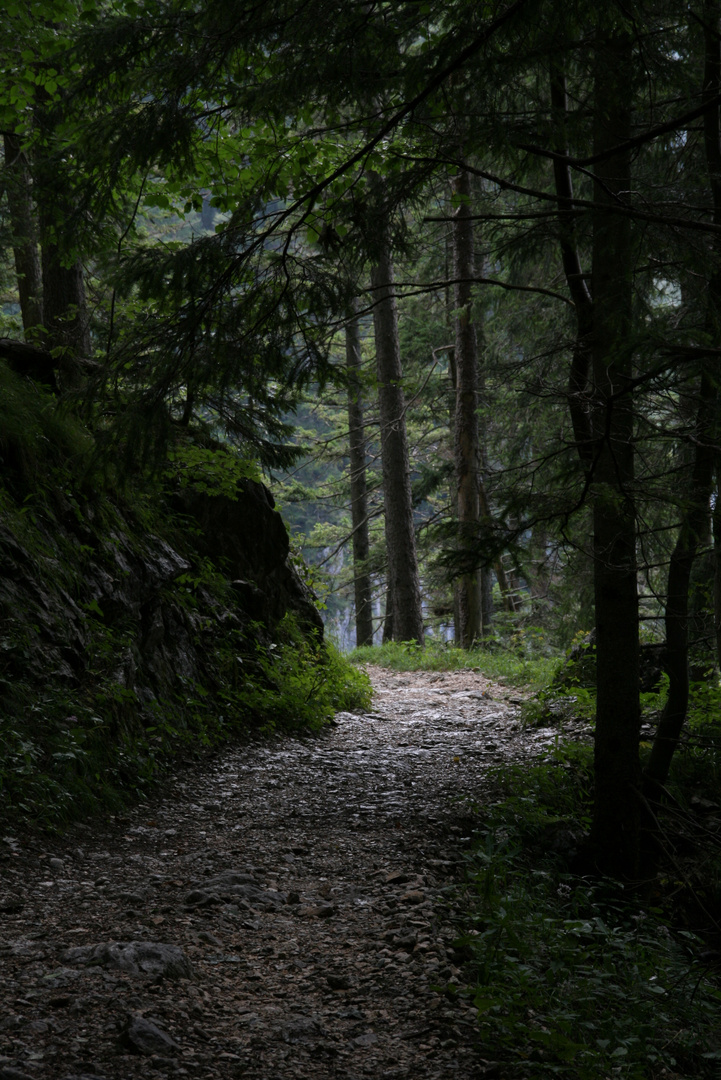 Waldweg