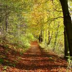 Waldweg