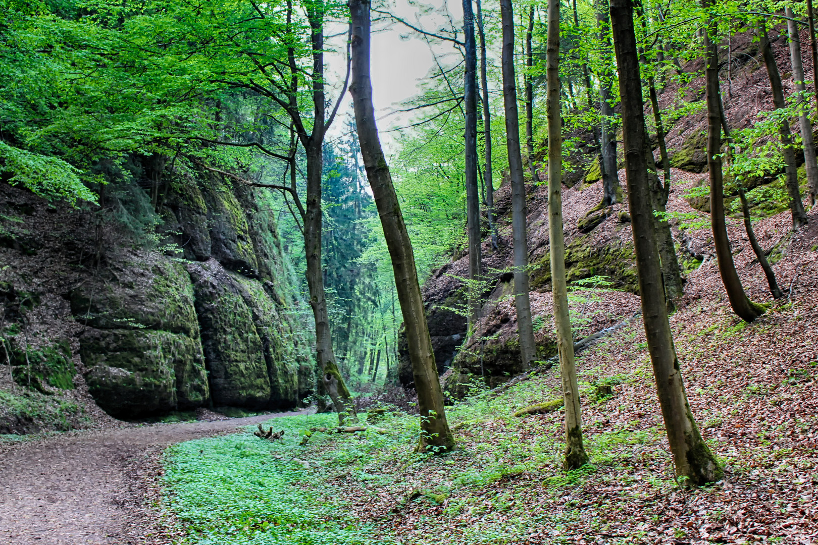 Waldweg 2