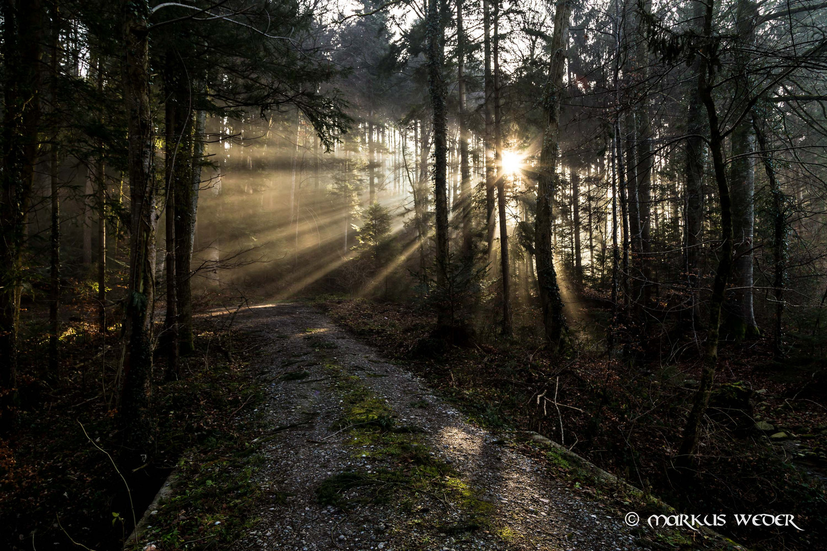 Waldweg