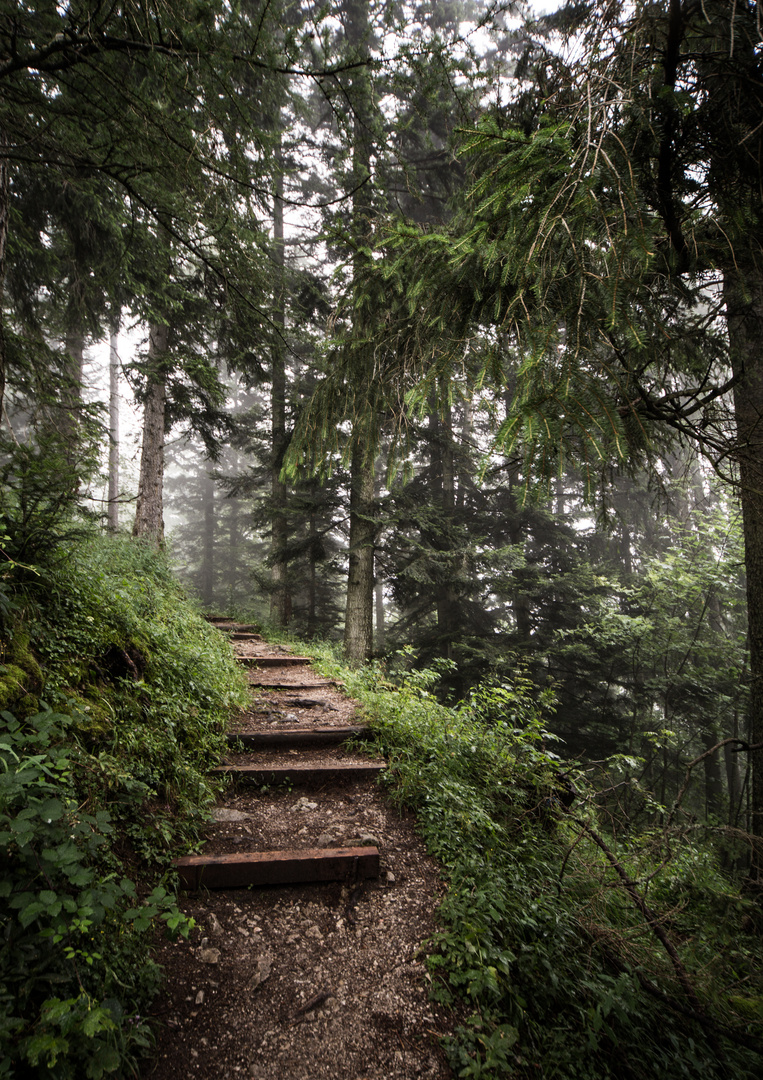 Waldweg