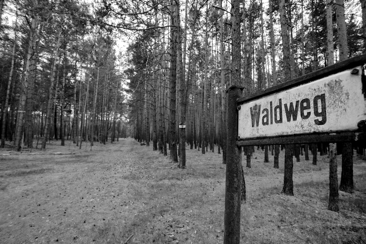 Waldweg?