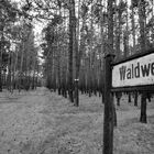 Waldweg?