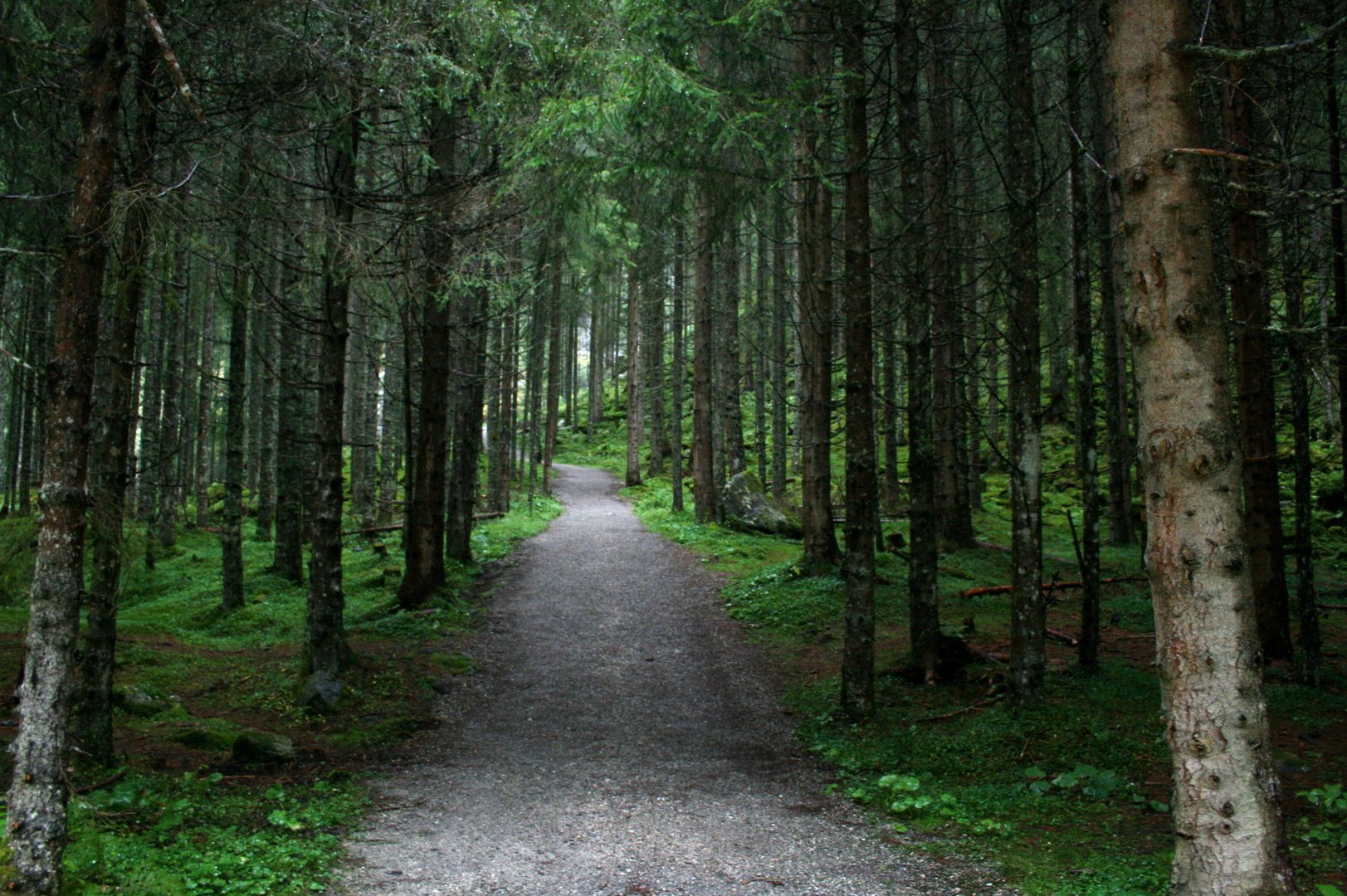 Waldweg