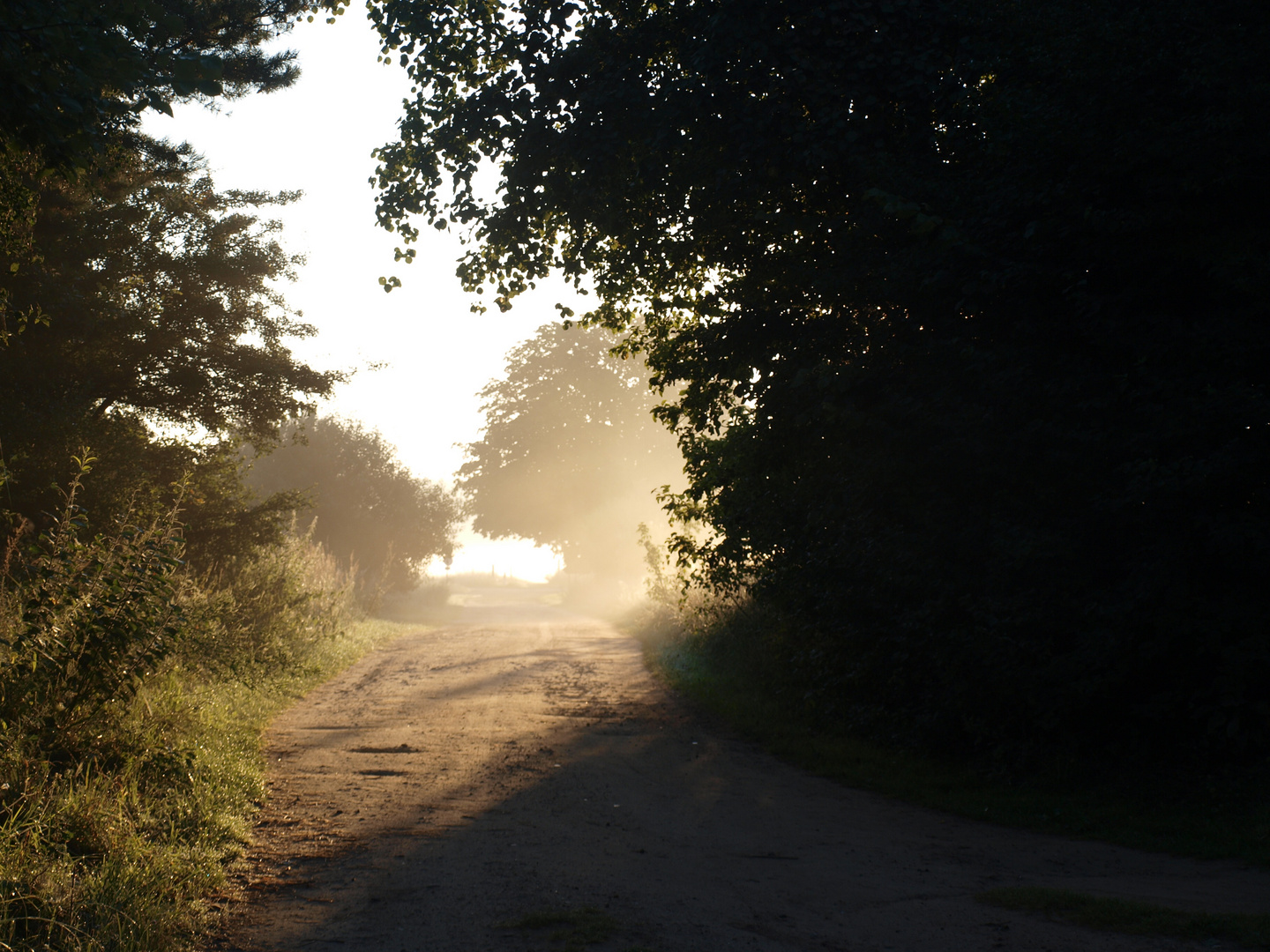 Waldweg