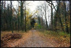 Waldweg