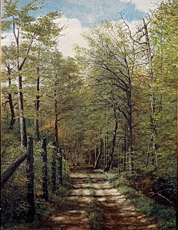 Waldweg