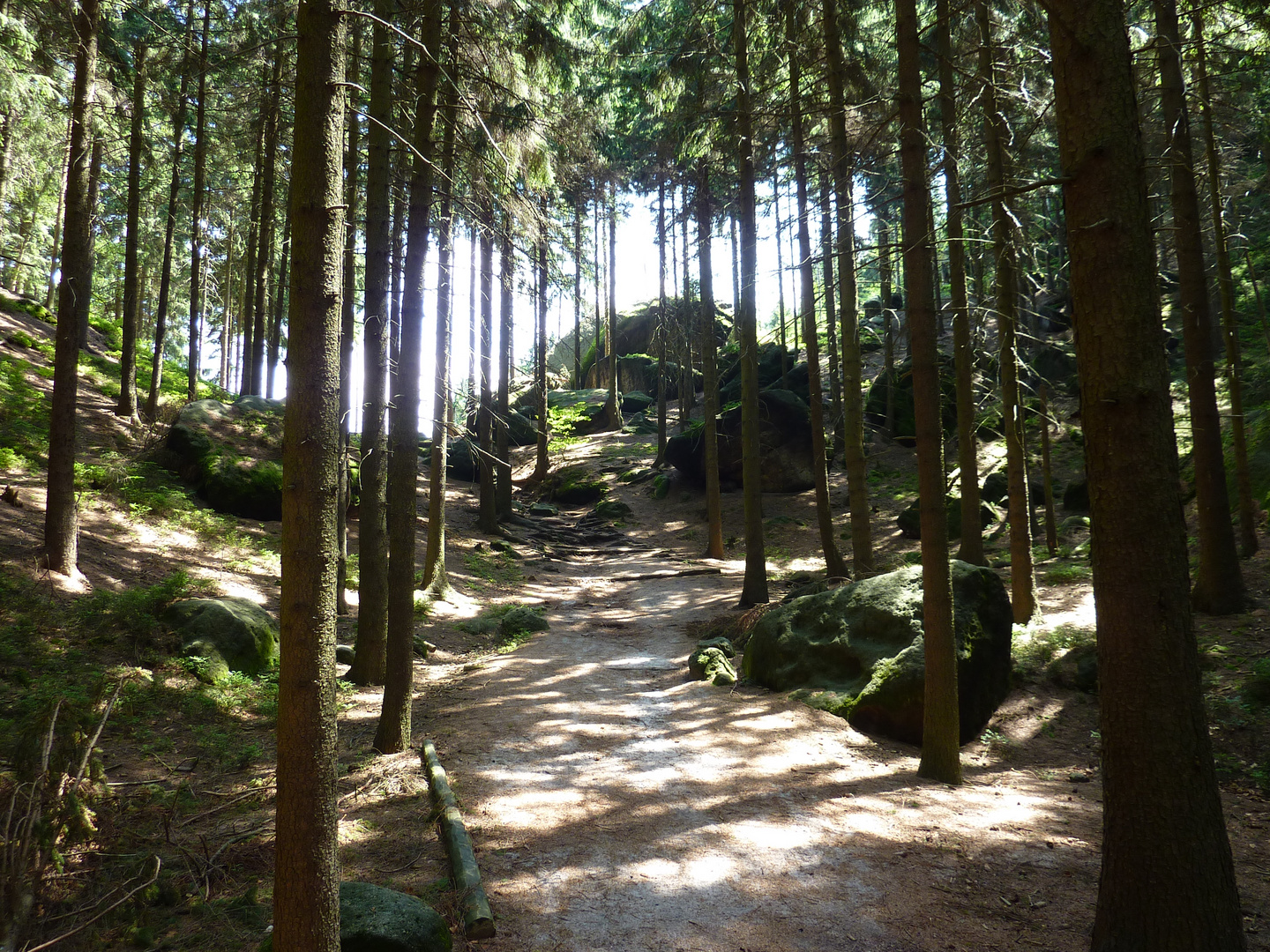 Waldweg