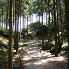 Waldweg