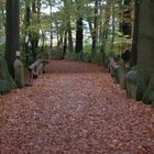 Waldweg