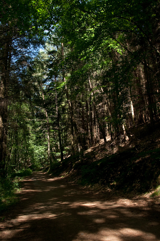 Waldweg