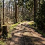 Waldweg