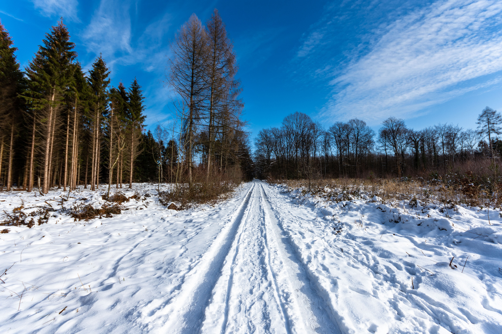 Waldweg Foto & Bild landschaft, jahreszeiten, winter Bilder auf