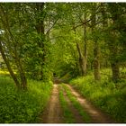 Waldweg