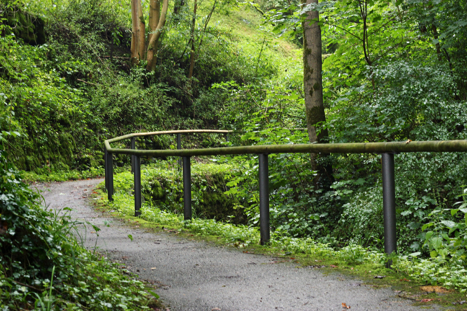 Waldweg