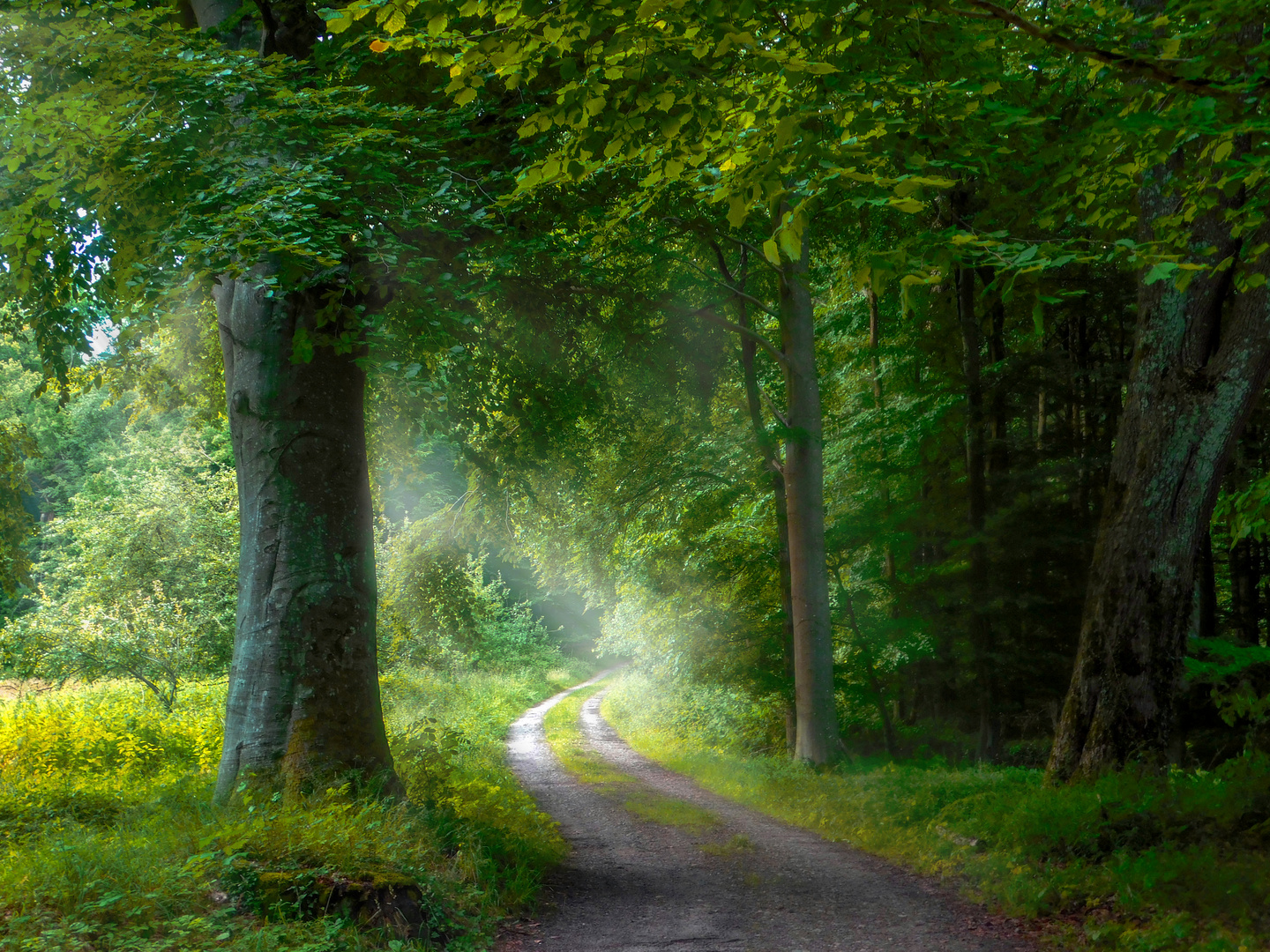 Waldweg