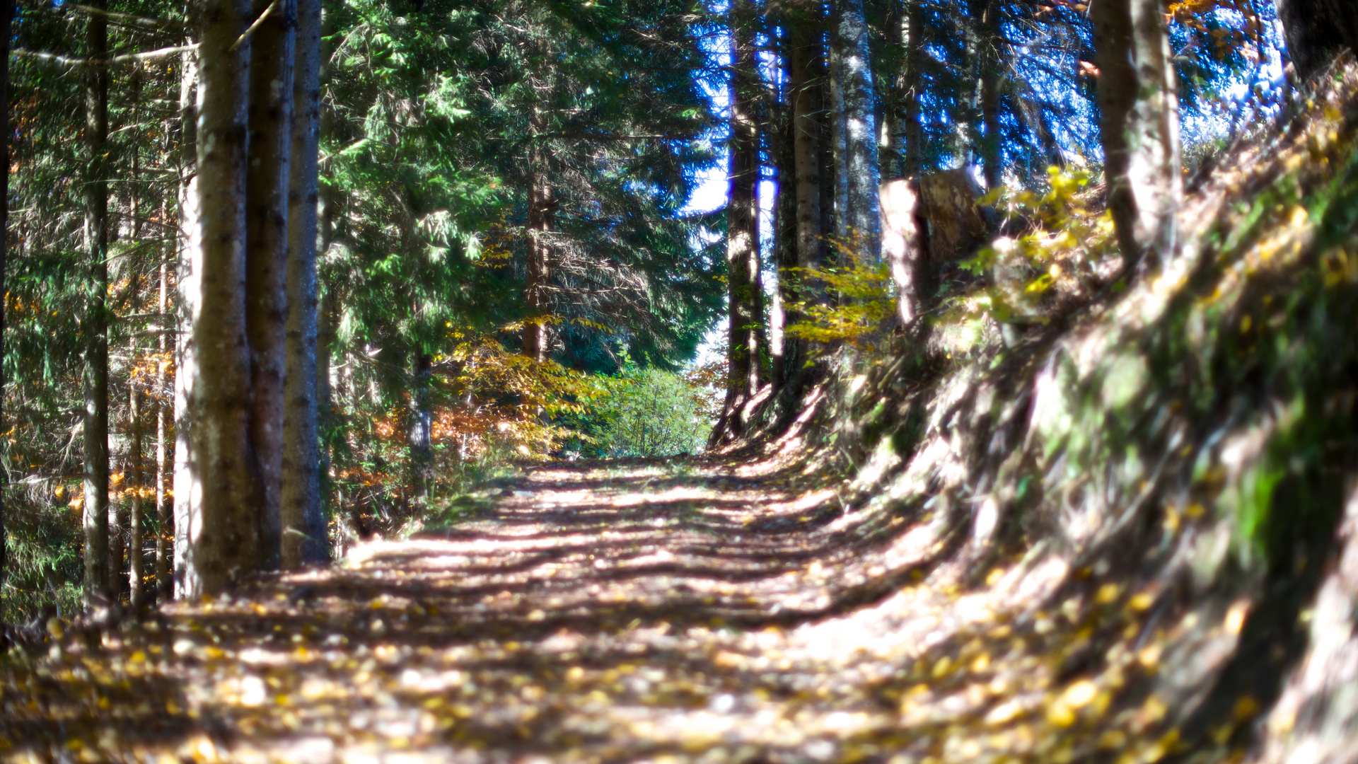 Waldweg