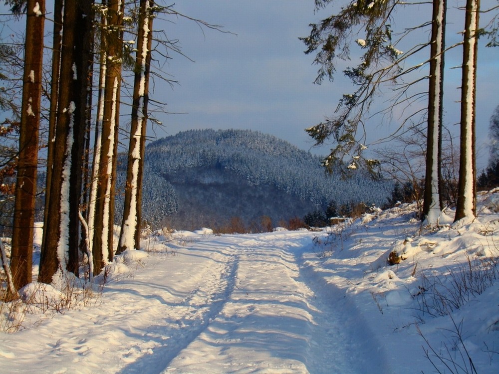 Waldweg