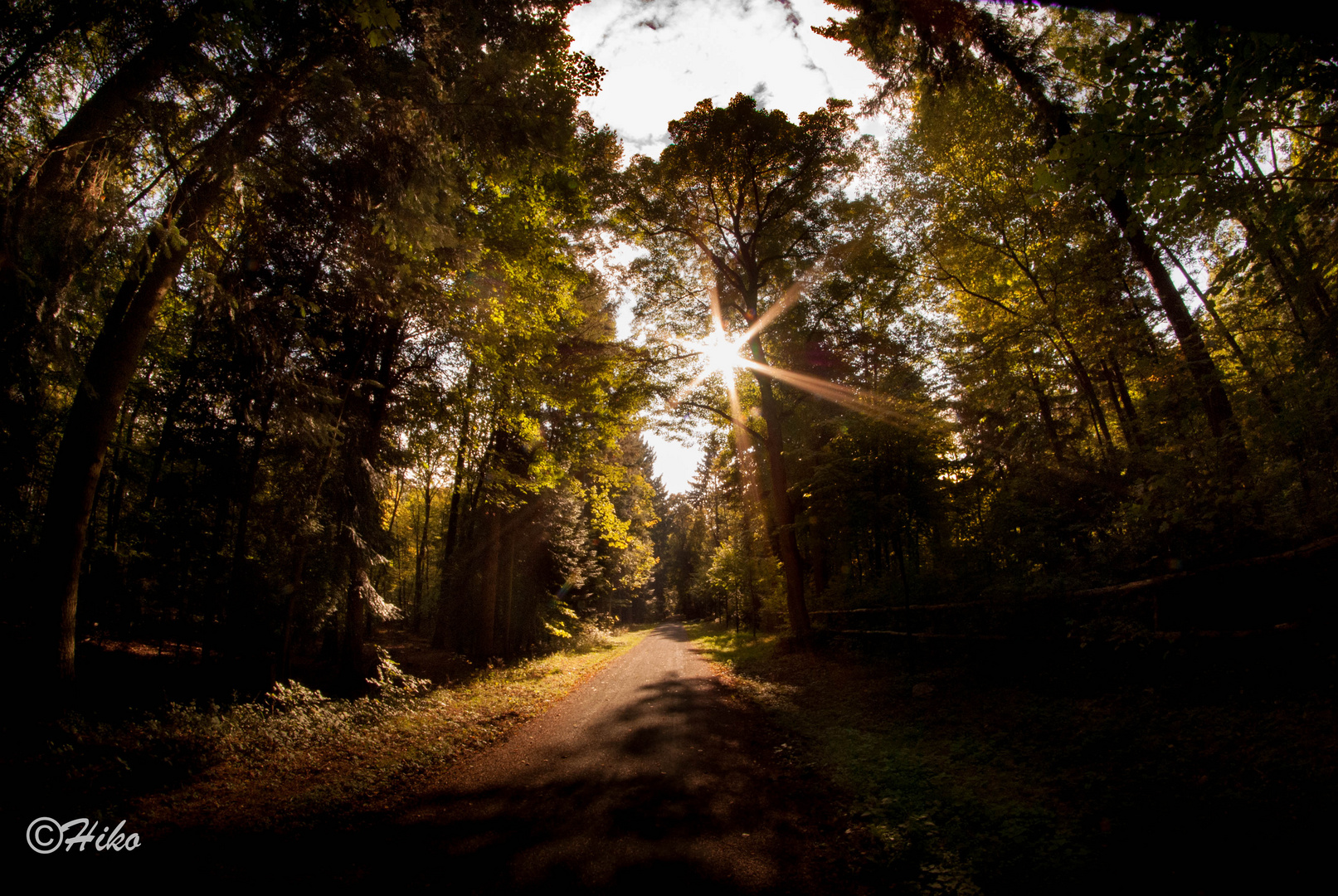 Waldweg